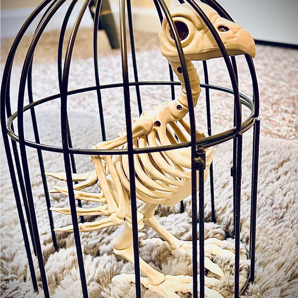 Decorative Bird Skeleton in Cage